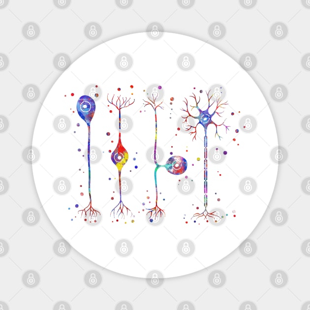 Four types of neurons Magnet by RosaliArt